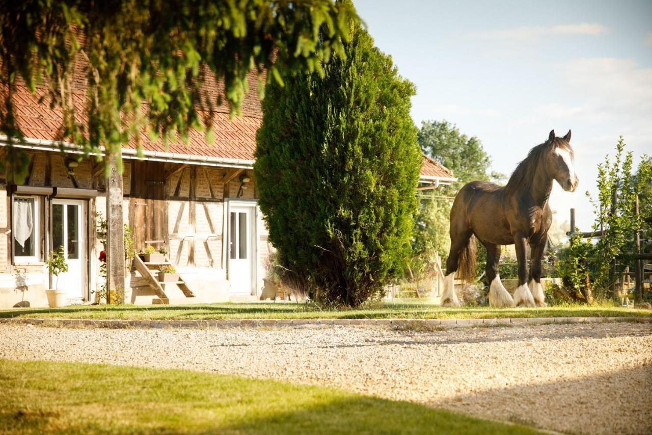 Hotel La Ferme De La Chassagne Devrouze Zewnętrze zdjęcie