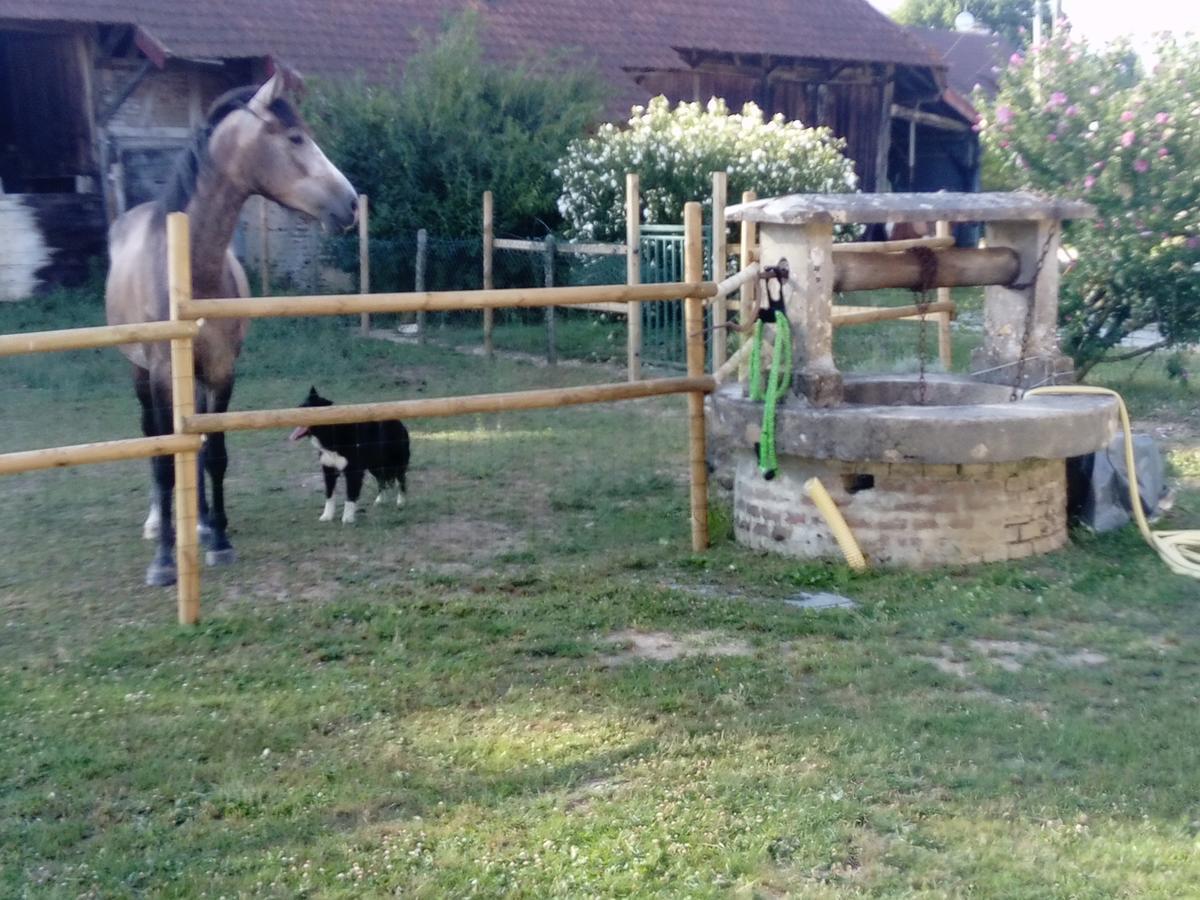 Hotel La Ferme De La Chassagne Devrouze Zewnętrze zdjęcie